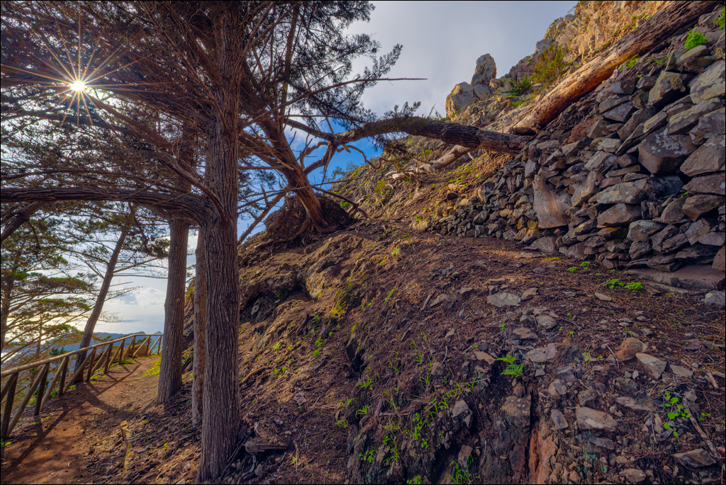 Madeira 24dec2024 08jan2025 145 00