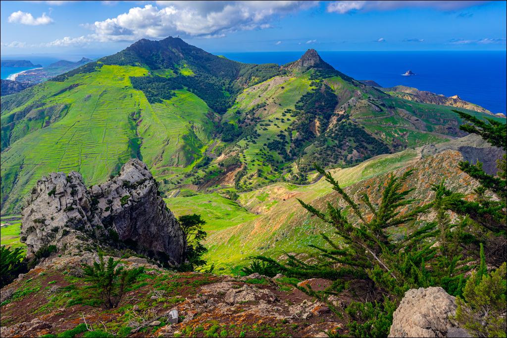 Madeira 24dec2024 08jan2025 159 00