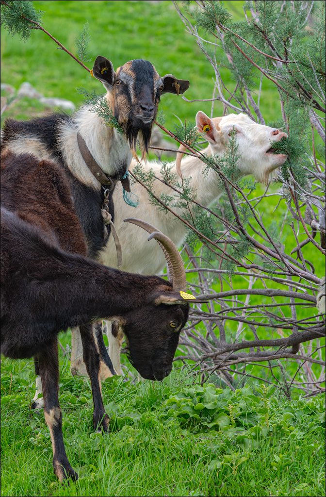 2Madeira 24dec2024 08jan2025 107 00