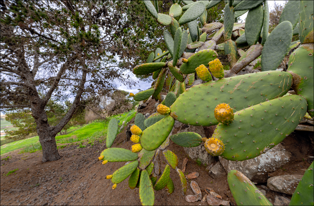 2Madeira 24dec2024 08jan2025 112 00