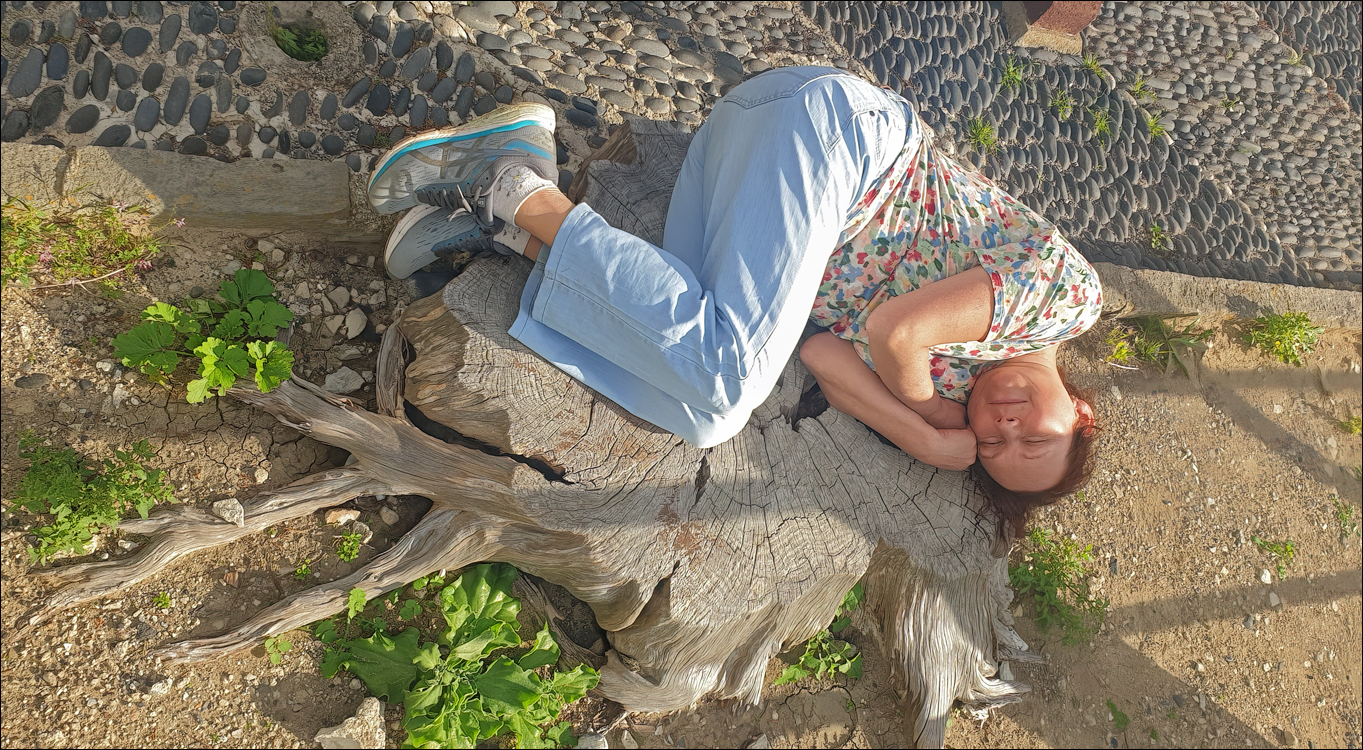 2Madeira 24dec2024 08jan2025 125 00