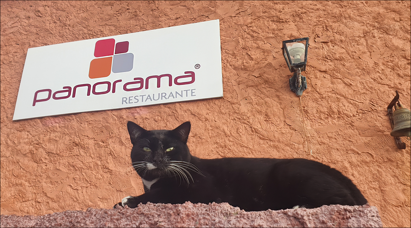 2Madeira 24dec2024 08jan2025 130 00