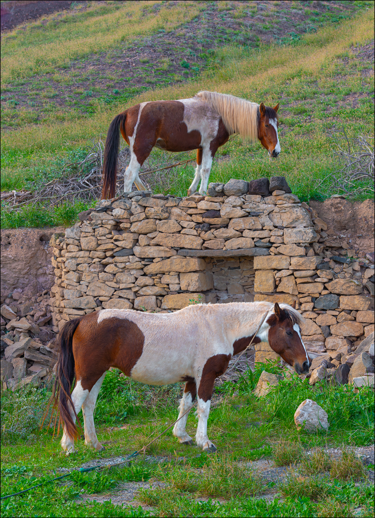 2Madeira 24dec2024 08jan2025 162 00