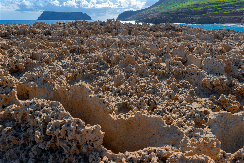2Madeira 24dec2024 08jan2025 181 00