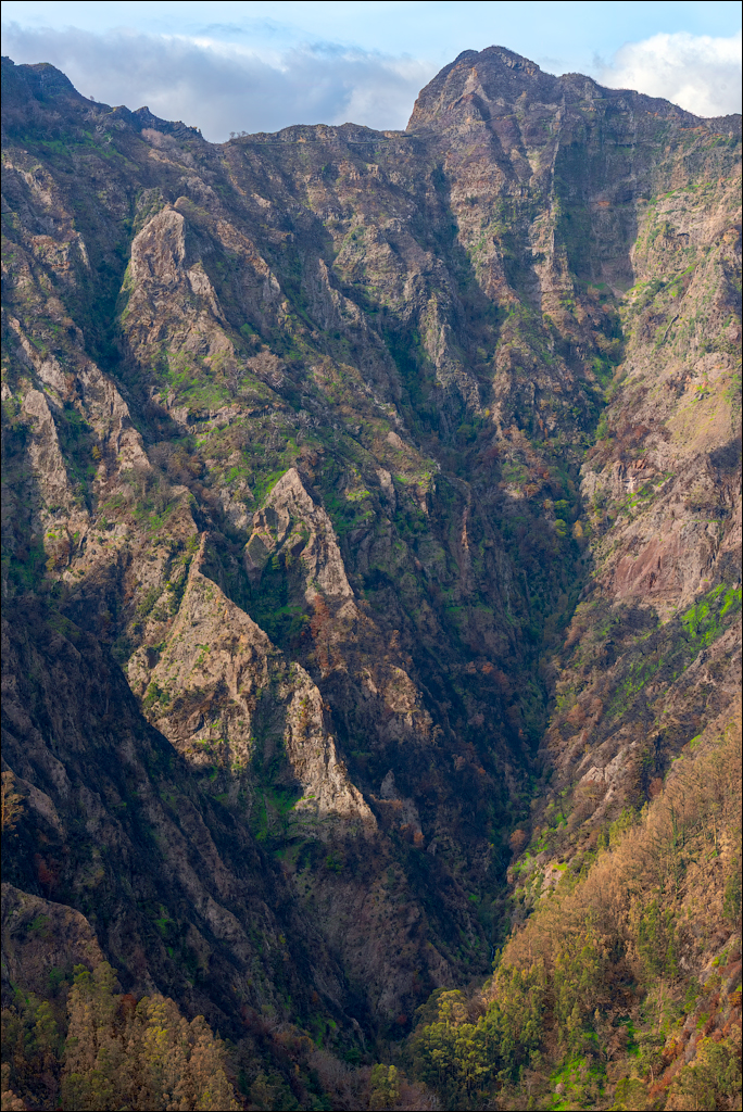 Madeira 24dec2024 08jan2025 102 00