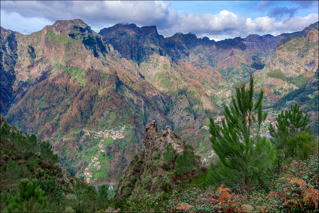 Madeira 24dec2024 08jan2025 104 00