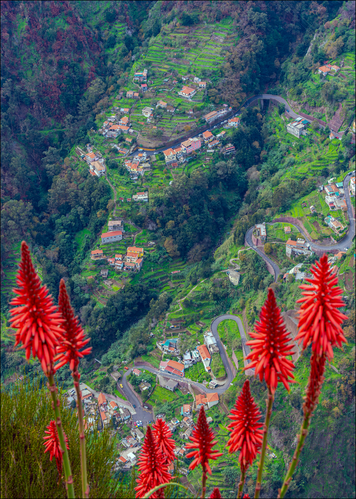 Madeira 24dec2024 08jan2025 118 00