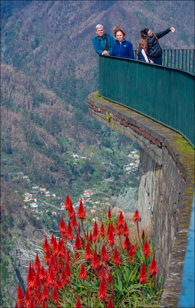 Madeira 24dec2024 08jan2025 121 00