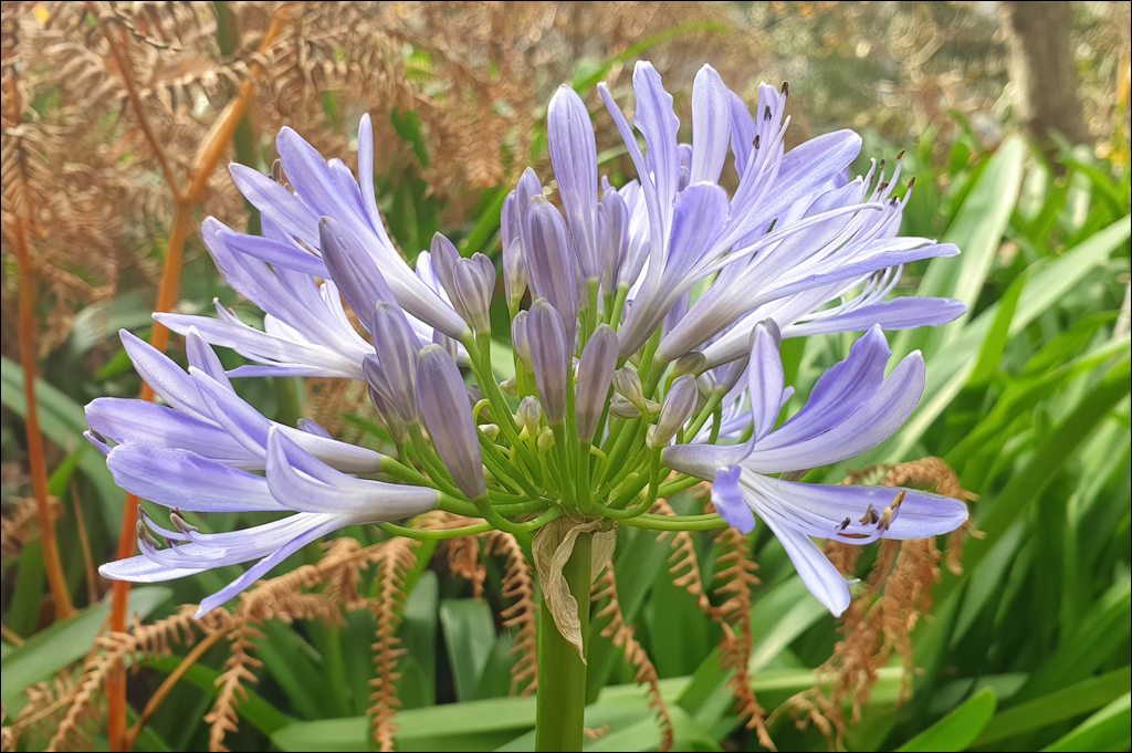 Madeira 24dec2024 08jan2025 131 00