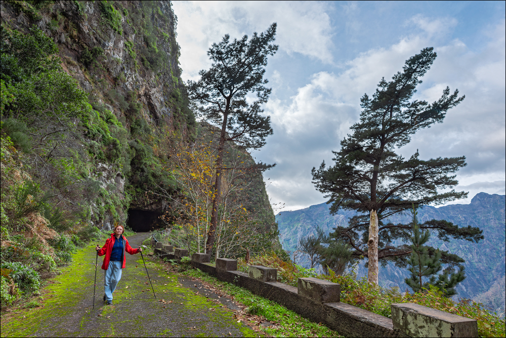 Madeira 24dec2024 08jan2025 140 00