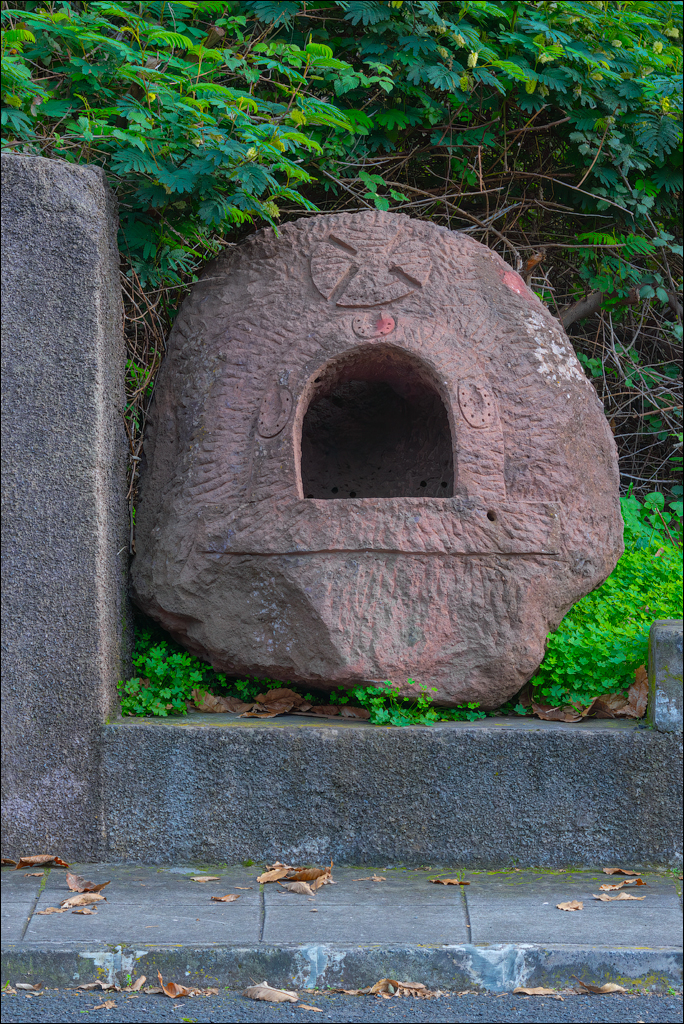 Madeira 24dec2024 08jan2025 165 00