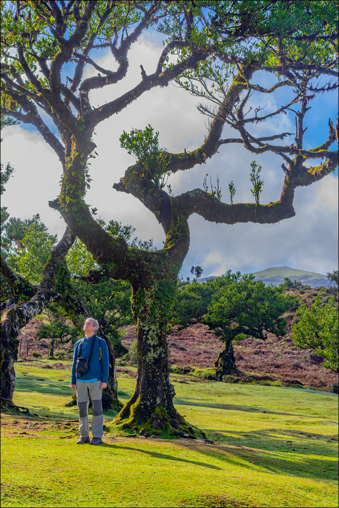 Madeira 24dec2024 08jan2025 125 00