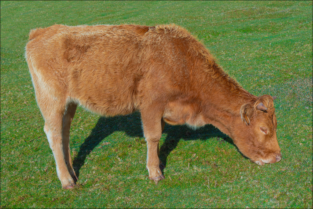 Madeira 24dec2024 08jan2025 138 00