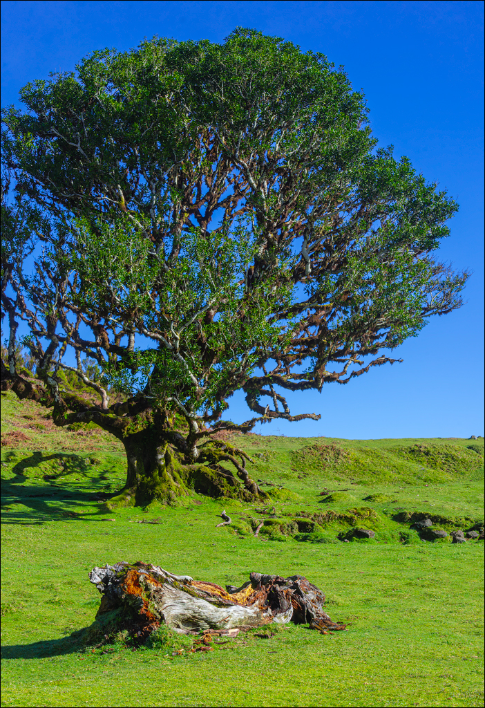 Madeira 24dec2024 08jan2025 142 00