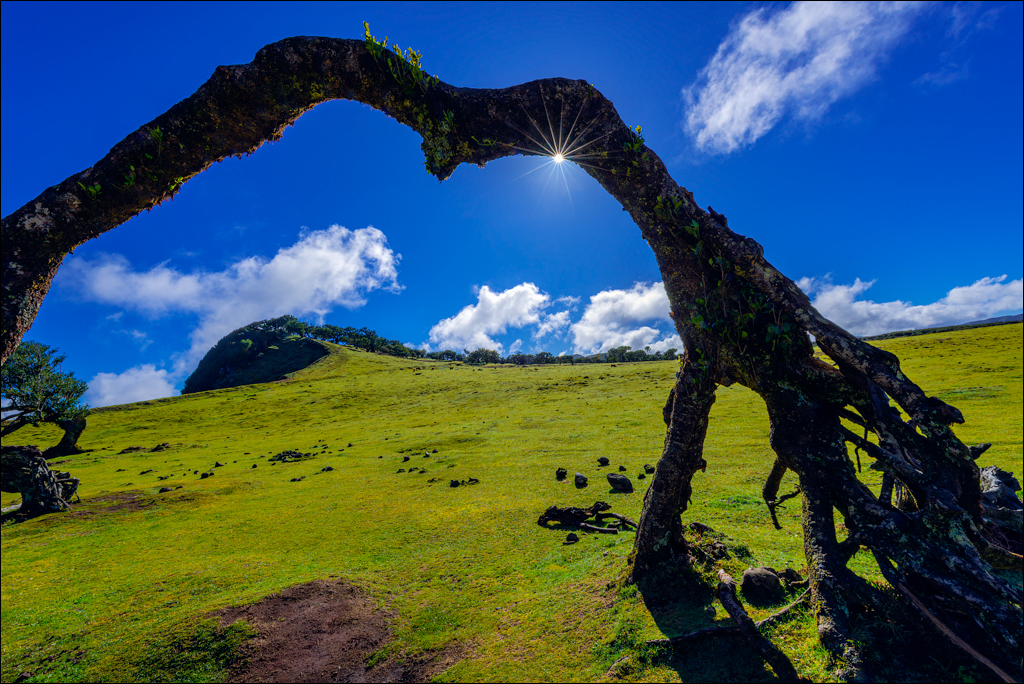 Madeira 24dec2024 08jan2025 155 00