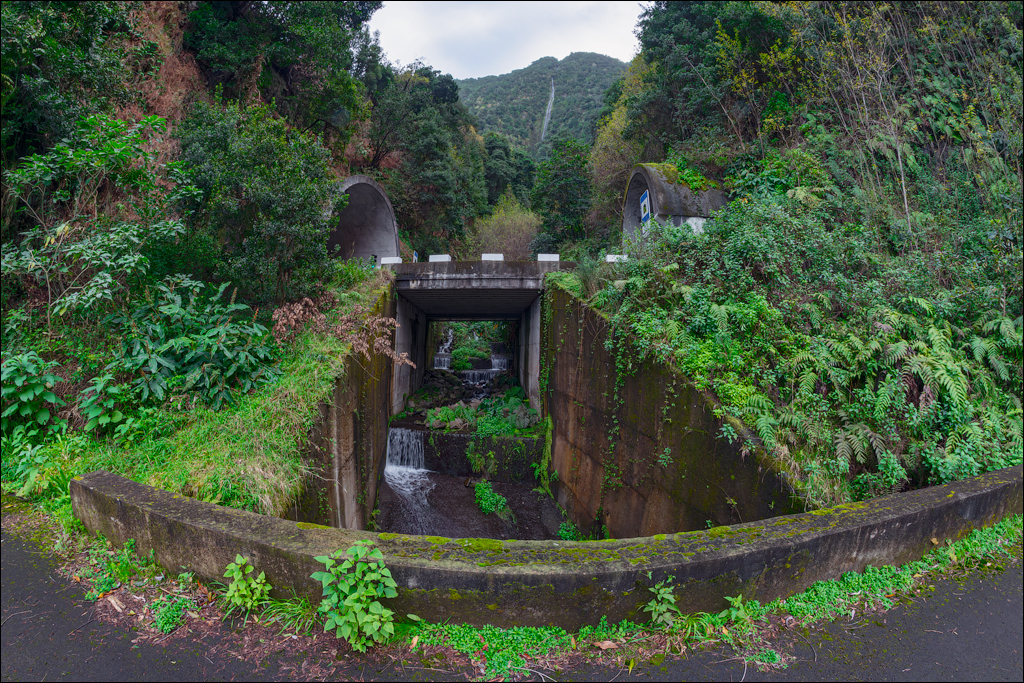 Madeira 24dec2024 08jan2025 176 00