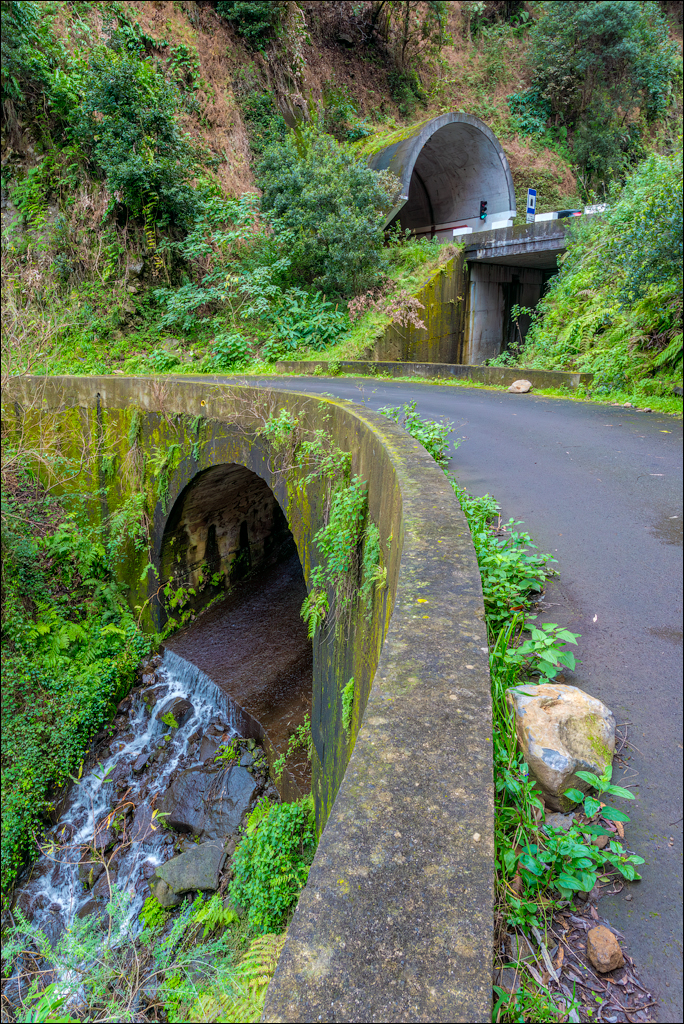 Madeira 24dec2024 08jan2025 179 00