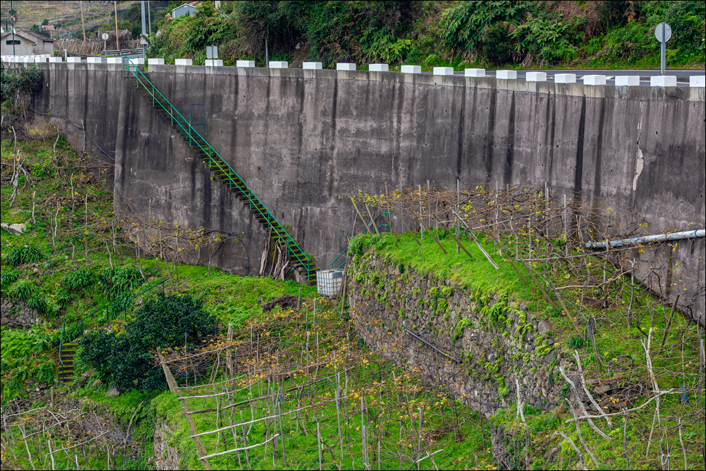 Madeira 24dec2024 08jan2025 189 00