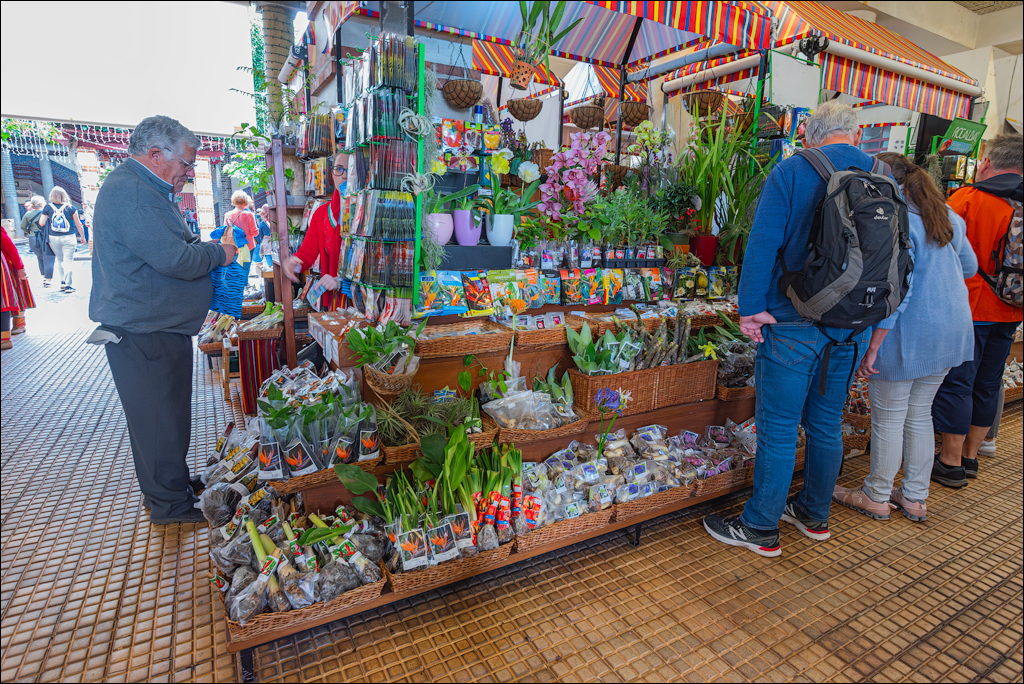 Madeira 24dec2024 08jan2025 141 00