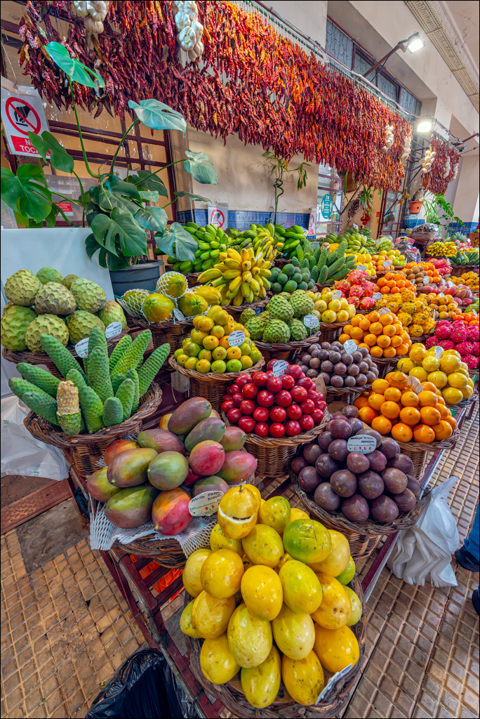 Madeira 24dec2024 08jan2025 146 00