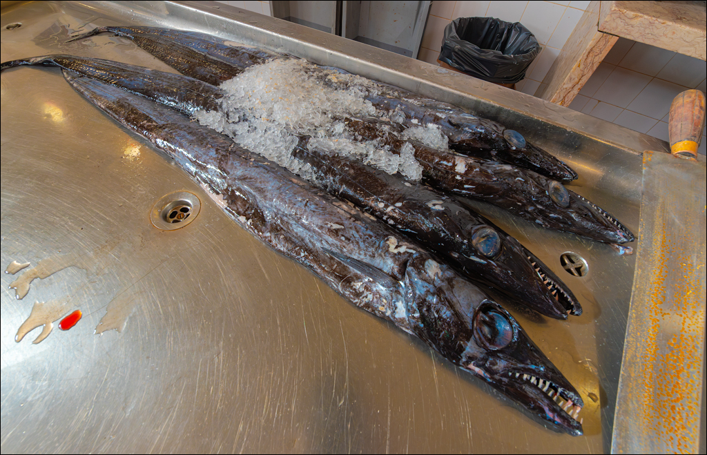 Madeira 24dec2024 08jan2025 150 00