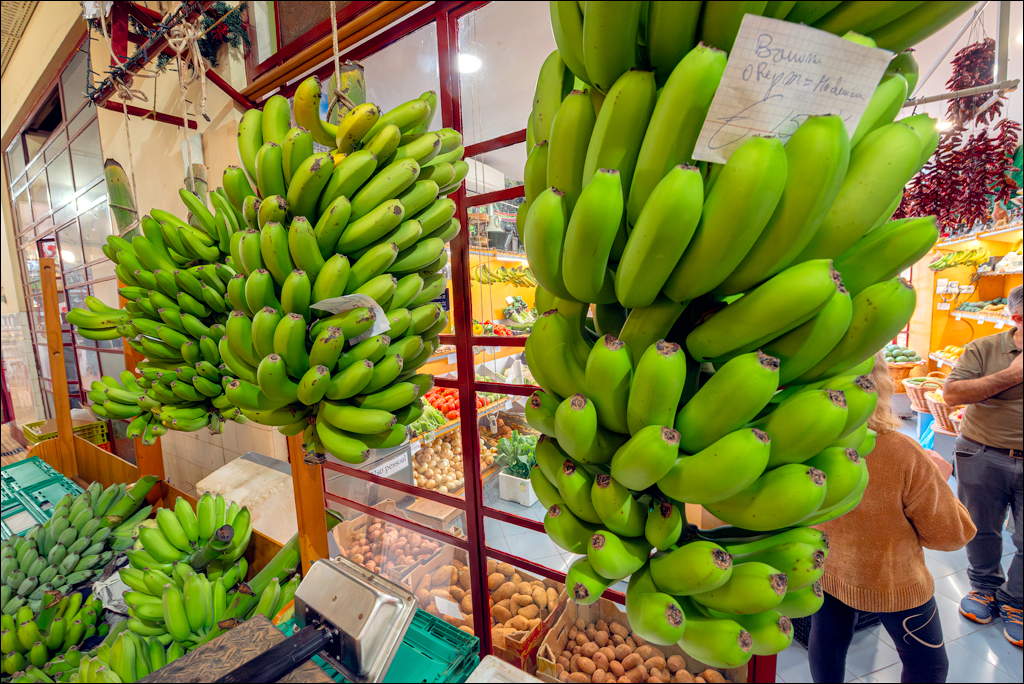 Madeira 24dec2024 08jan2025 153 00