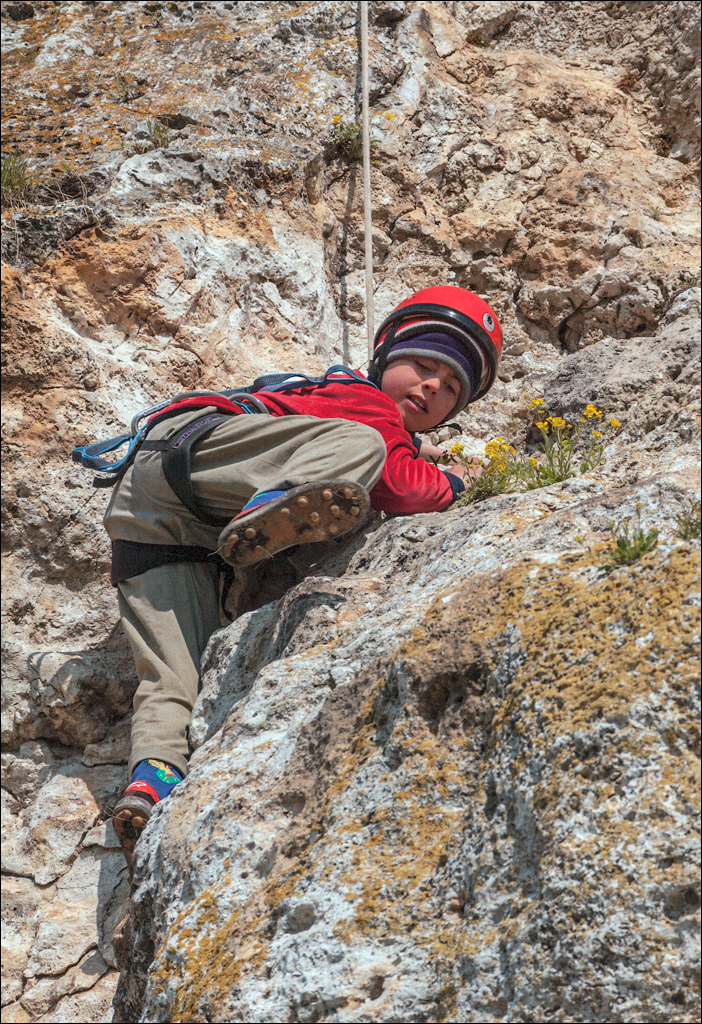 Cobani 2006 20060415023