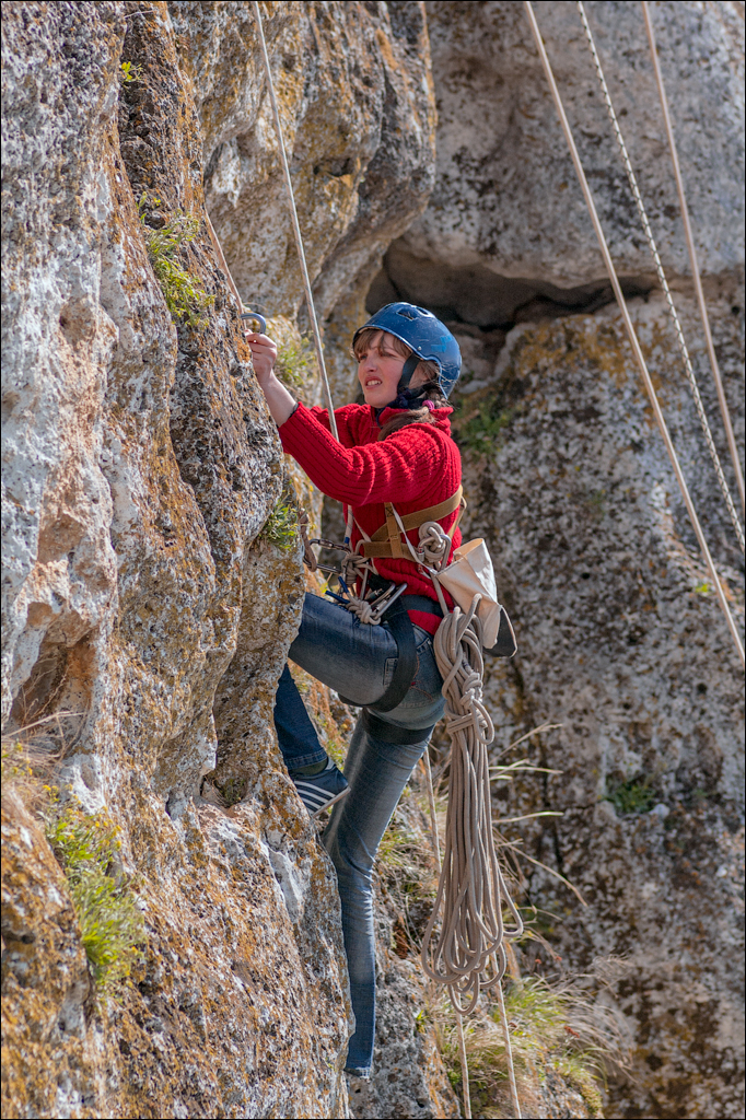 Cobani 2006 20060415066