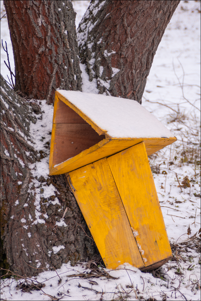 PadureaDomniasca Dec2005 004