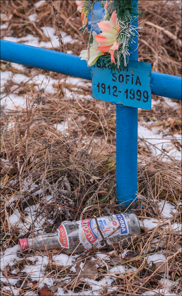 PadureaDomniasca Dec2005 027