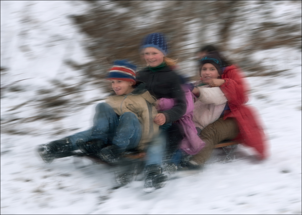 PadureaDomniasca Dec2005 028