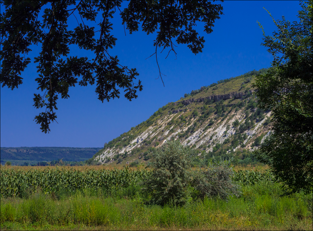 Sanatauca Racovat 201808011027