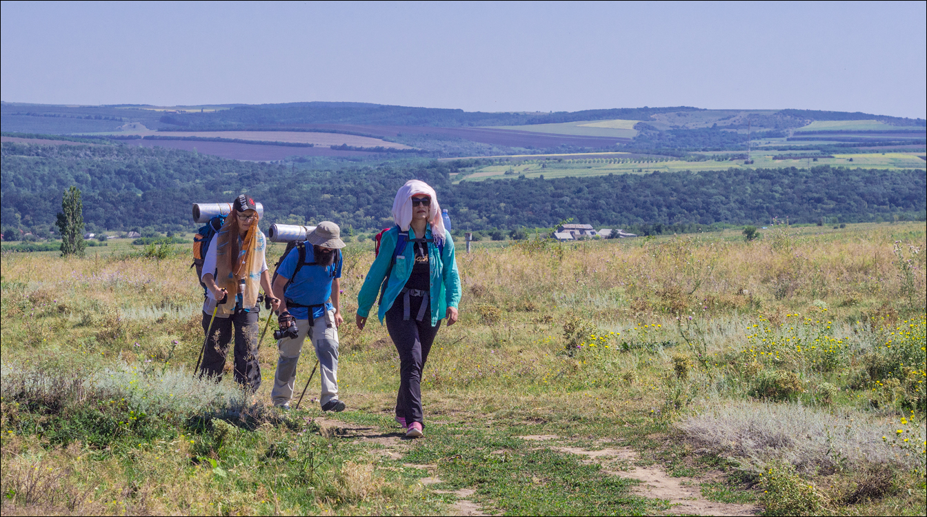 Sanatauca Racovat 201808011029