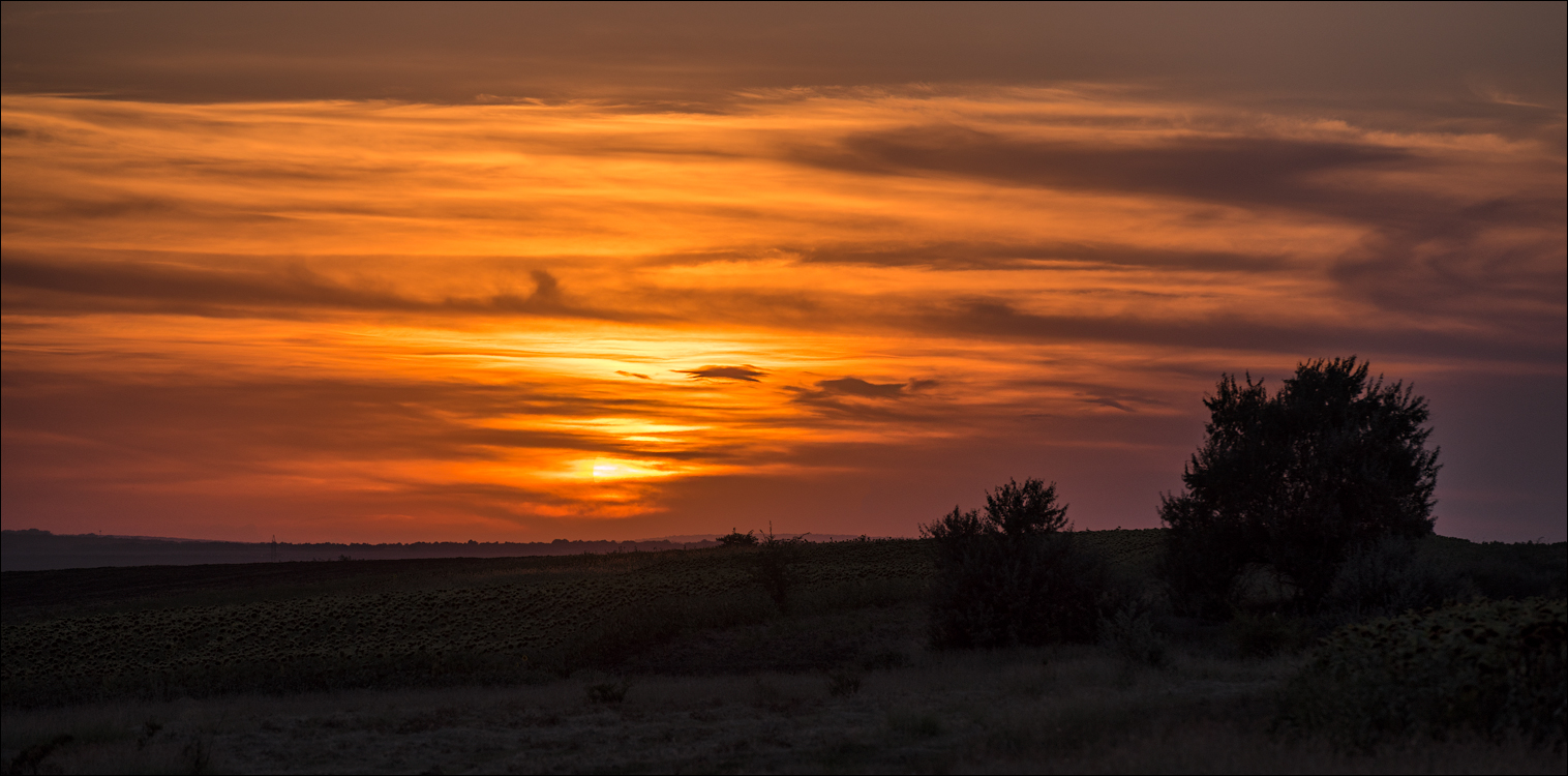 Sanatauca Racovat 201808011053