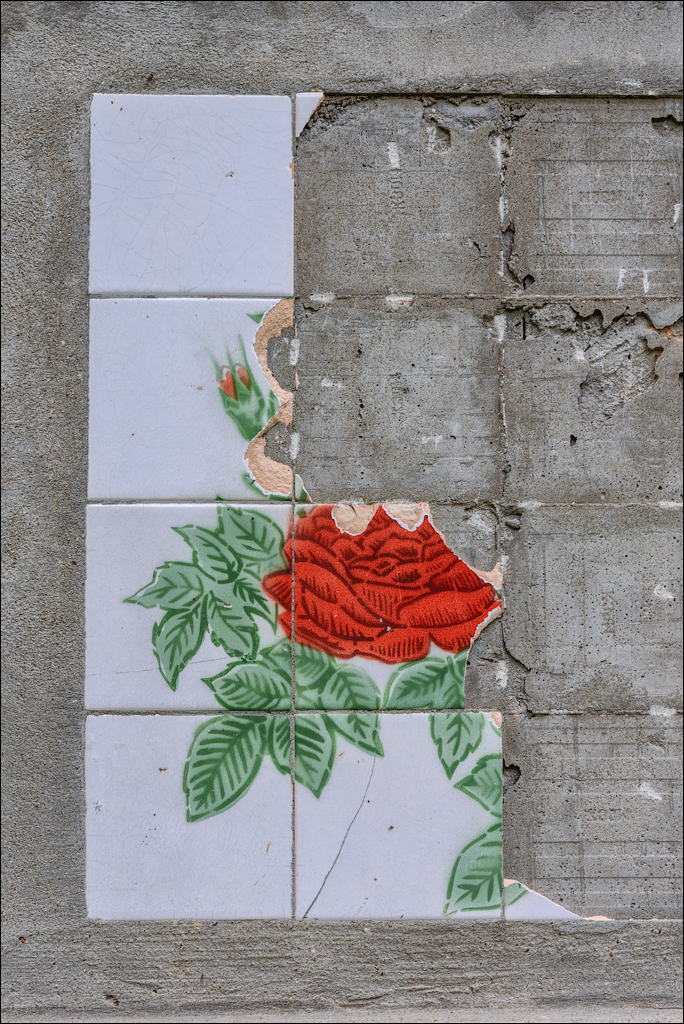 VadulRascov Socola 20180519037