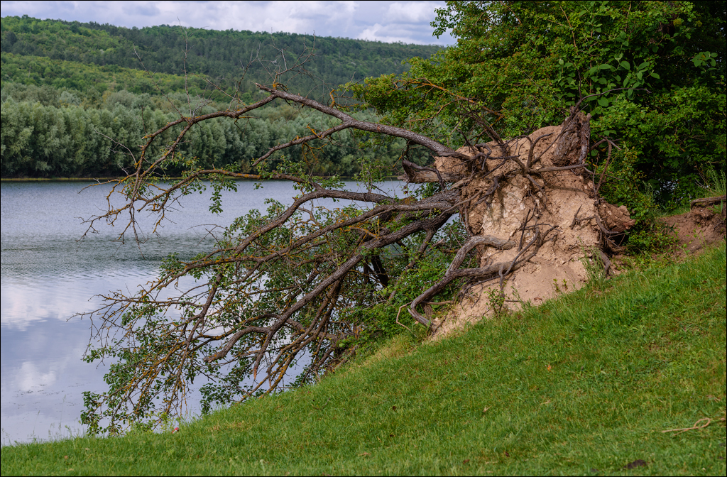 VadulRascov Socola 20180519148