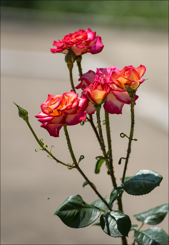 ArtLab20160625103125