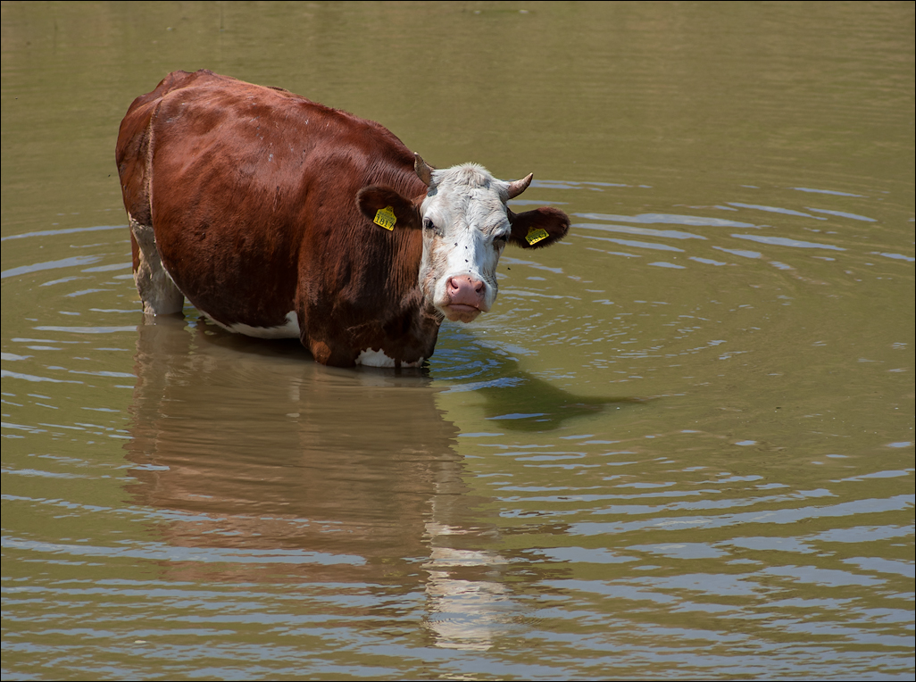 ArtLab20160625112132