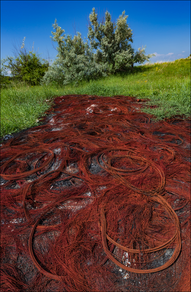 Costesti Duruitoarea PadureaDomn 20190427108