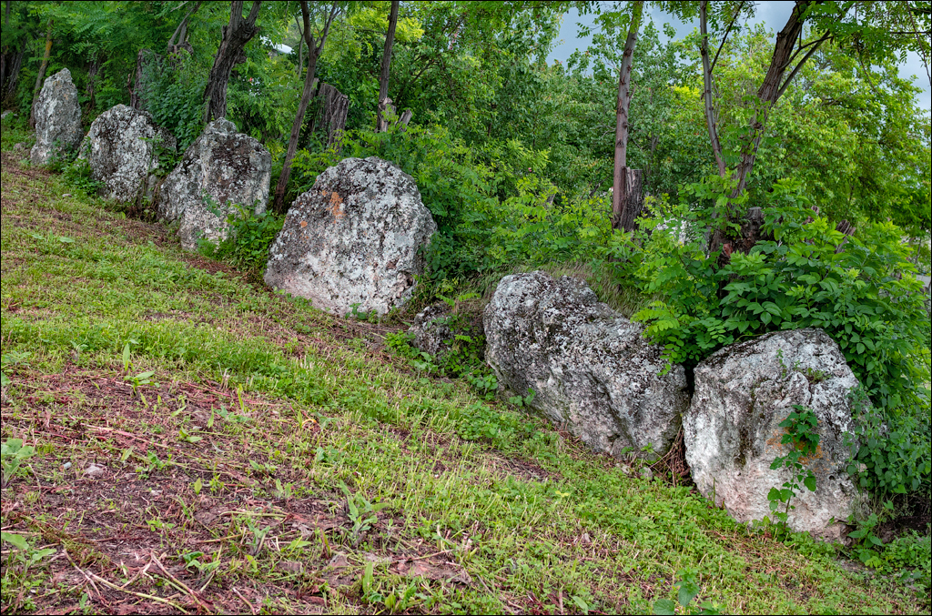 Costesti Duruitoarea PadureaDomn 20190427139