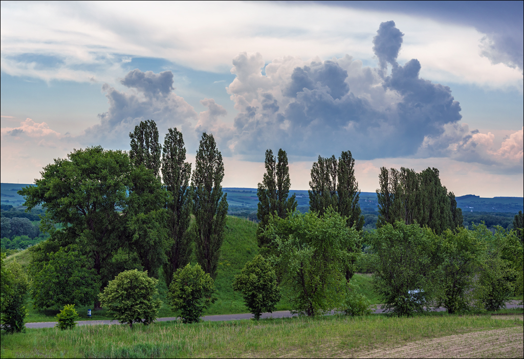 Costesti Duruitoarea PadureaDomn 20190427148