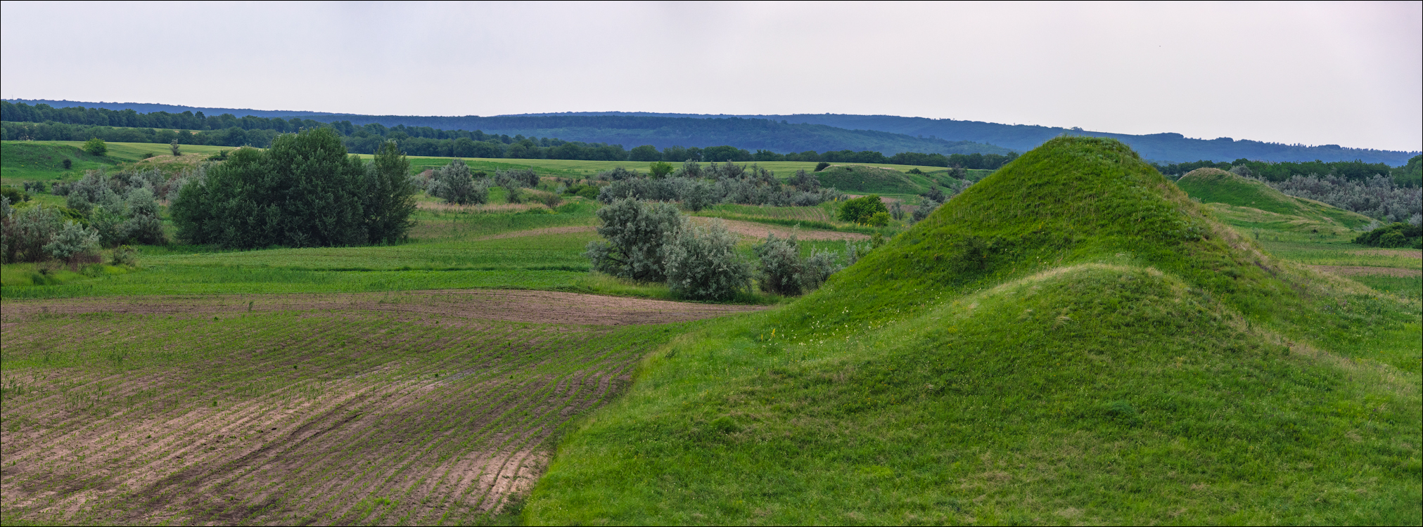 Costesti Duruitoarea PadureaDomn 20190427150