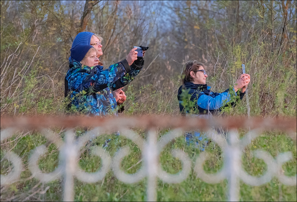 Naslavcea Taul Mindic 20201121 161