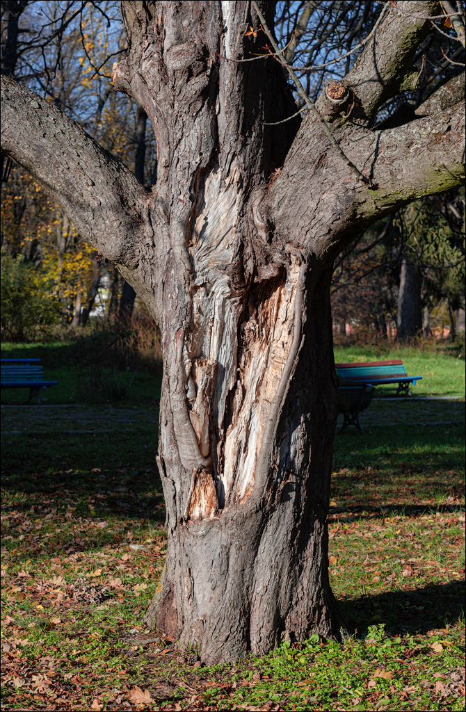 Naslavcea Taul Mindic 20201121 251