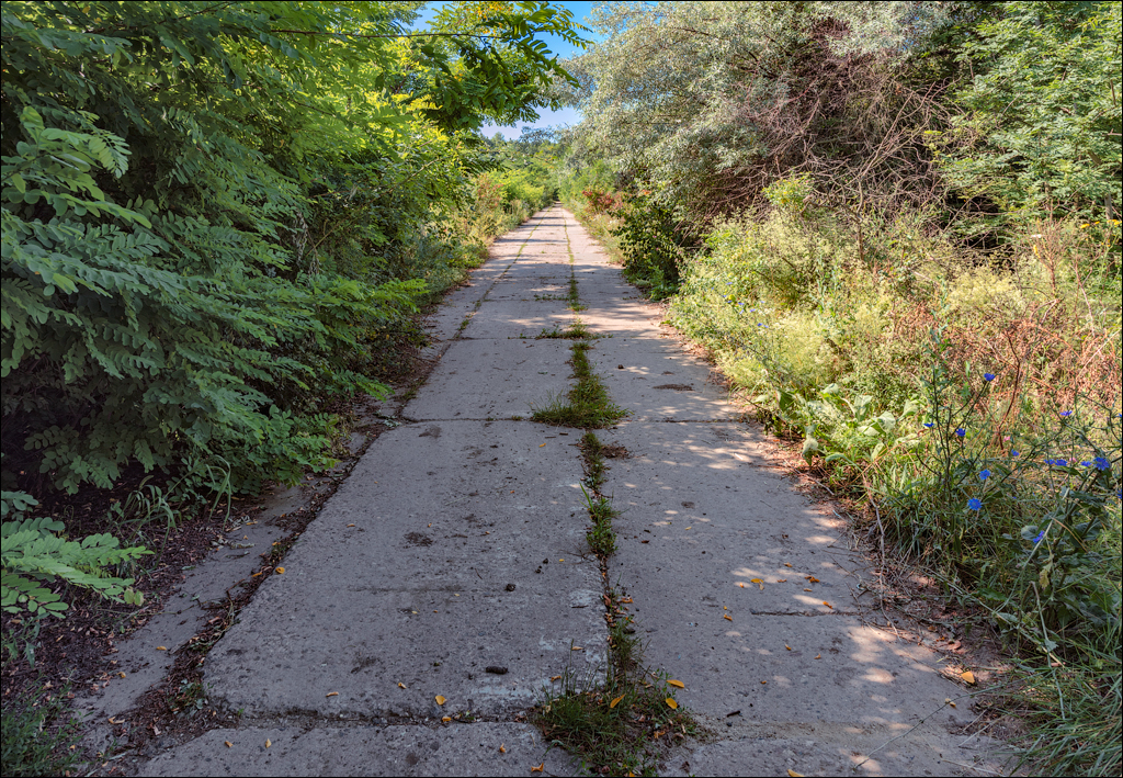 Oliscani Dobrusha Cuselevca Cobilea 20190721100