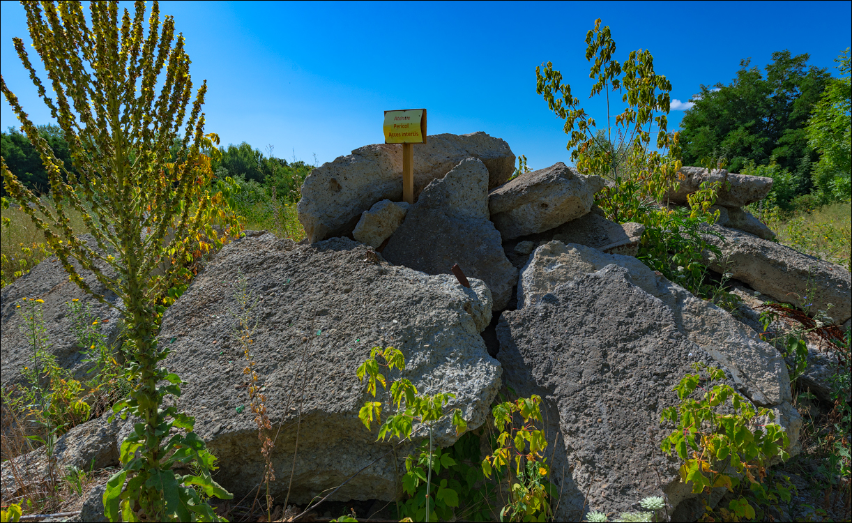 Oliscani Dobrusha Cuselevca Cobilea 20190721101