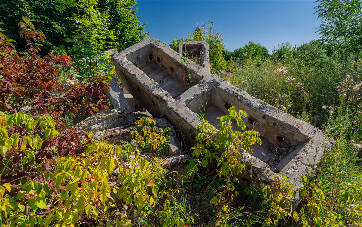 Oliscani Dobrusha Cuselevca Cobilea 20190721102
