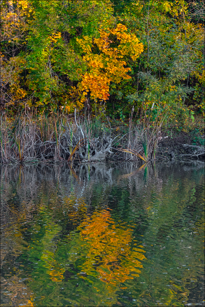 Taul Mindic122719 225