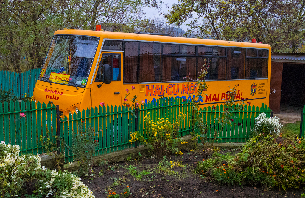 Brinzeni Trinca 20171110004