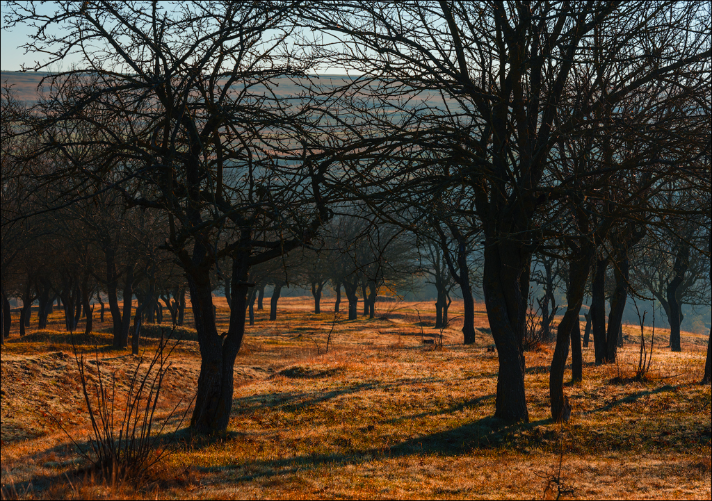 Brinzeni Trinca 20171110070